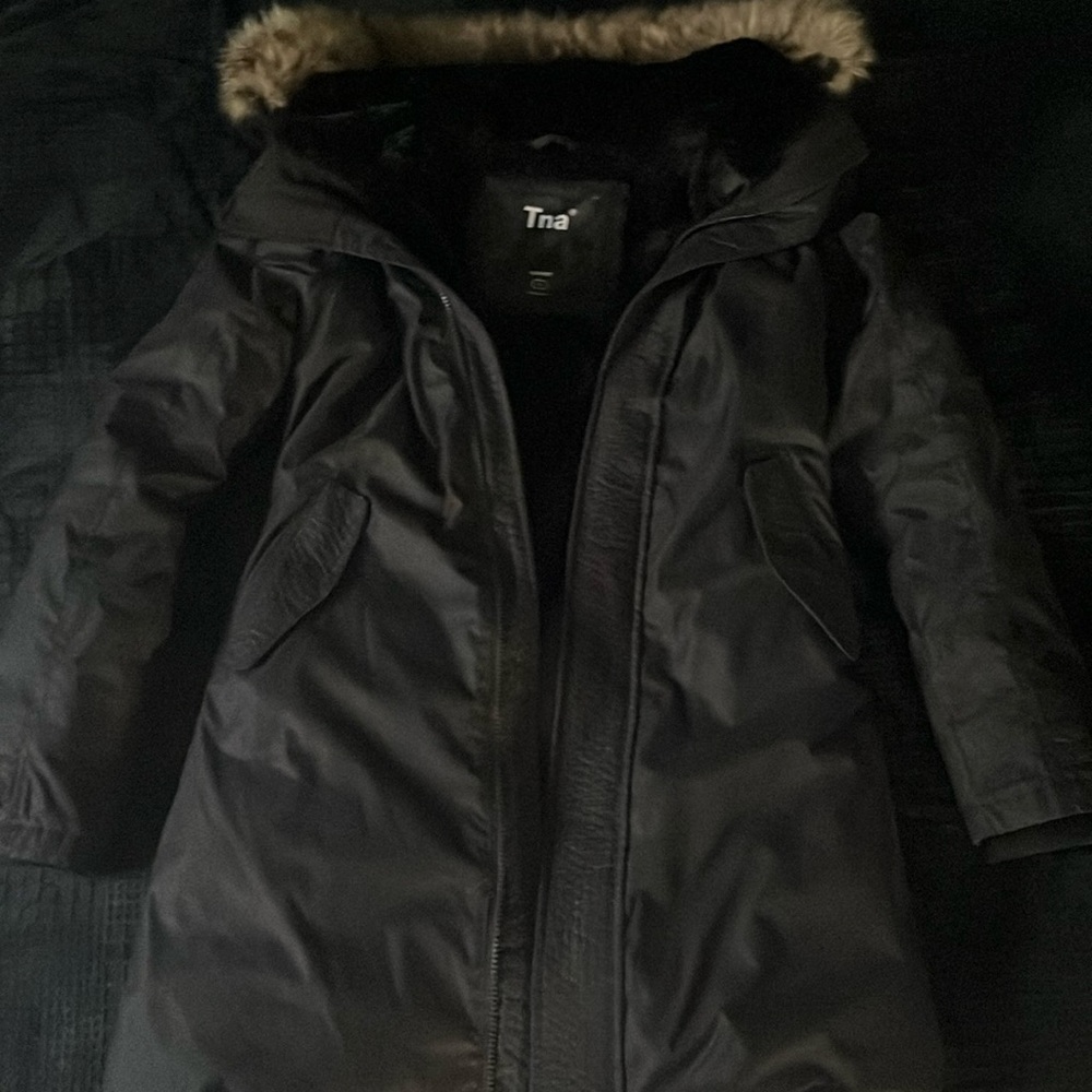 Aritzia summit parka